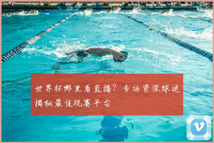 世界杯哪里看直播？专访资深球迷揭秘最佳观赛平台