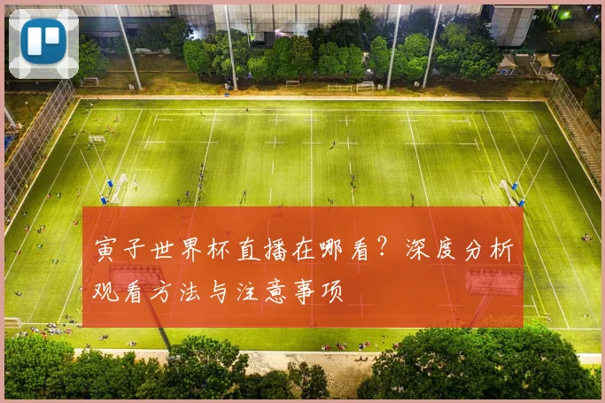寅子世界杯直播在哪看？深度分析观看方法与注意事项