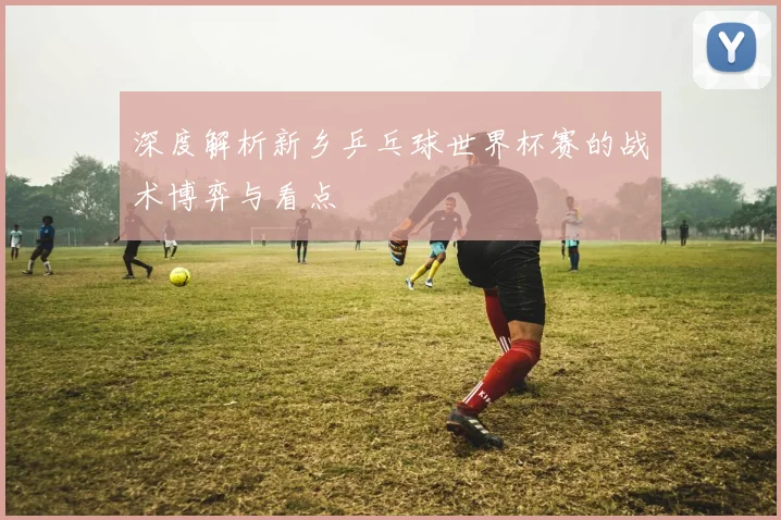 深度解析新乡乒乓球世界杯赛的战术博弈与看点
